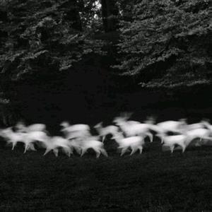 欧美男舔女逼做爱毛片
